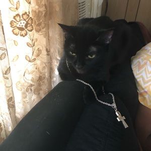 Meet your Posher, Davonte